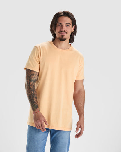 Camisetas Corgi