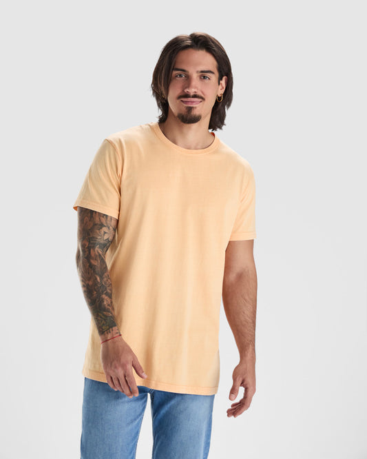 Camisetas Corgi